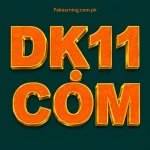 DK11 Game