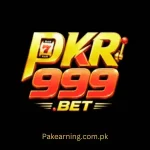 Pkr999 Game real online earning platform 2026